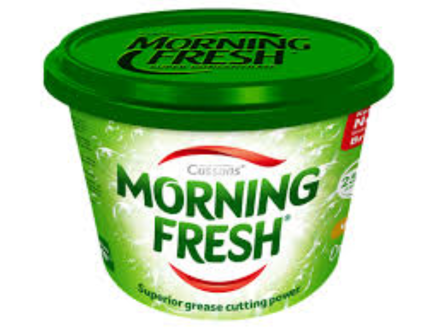 MORNING FRESH PASTE ORIGINAL 400G